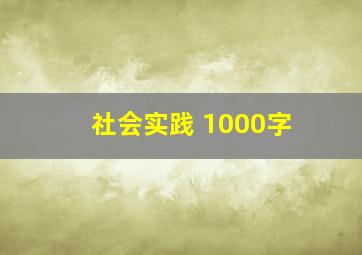 社会实践 1000字